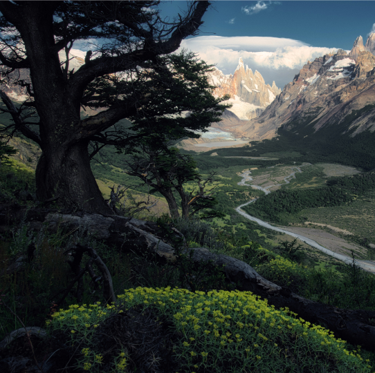 Forest Photography Masterclass Video Course by Max Rive(11)
