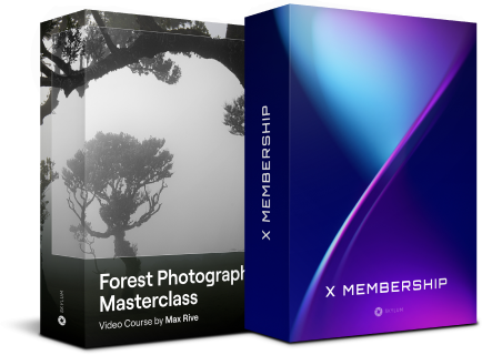 Forest Photography Masterclass Video Course by Max Rive(15)