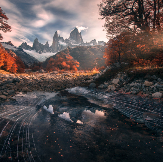 Forest Photography Masterclass Video Course by Max Rive(7)