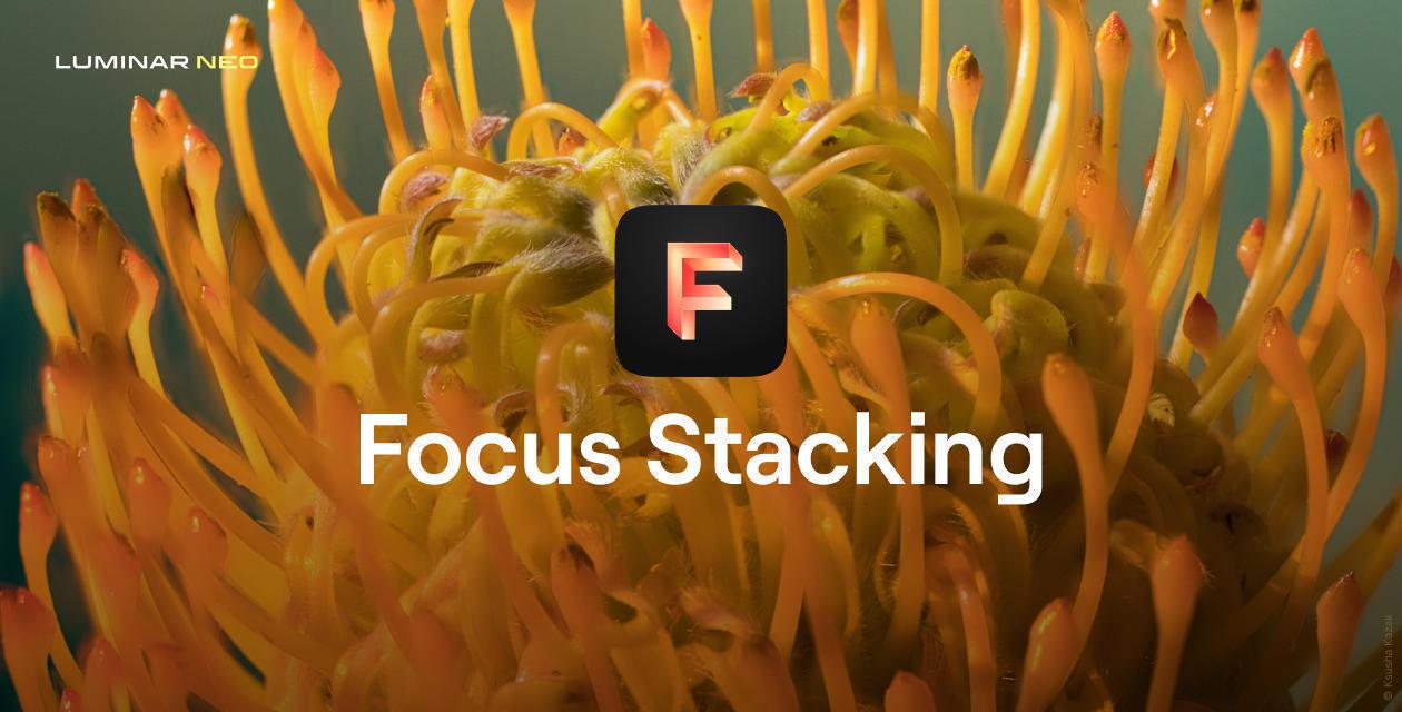 Focus Stacking Software: AI Image Stacker | Skylum