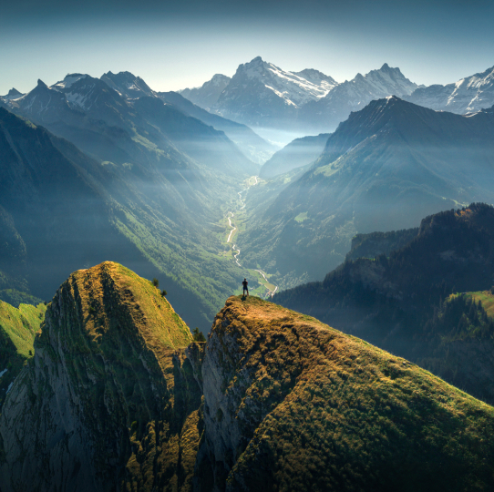 Forest Photography Masterclass Video Course by Max Rive(8)