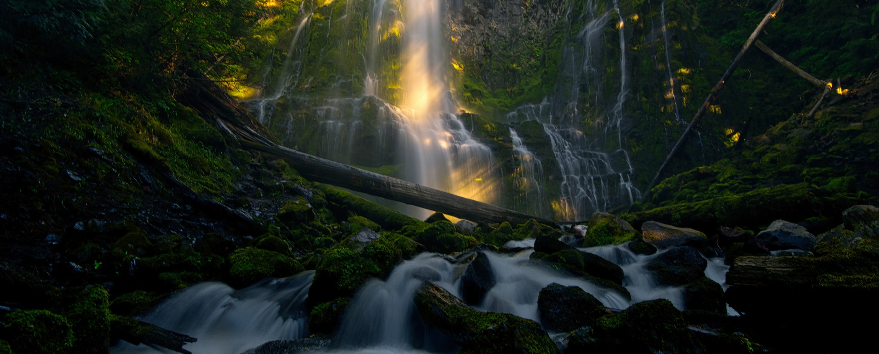 Buy Luminar | Skylum(30)