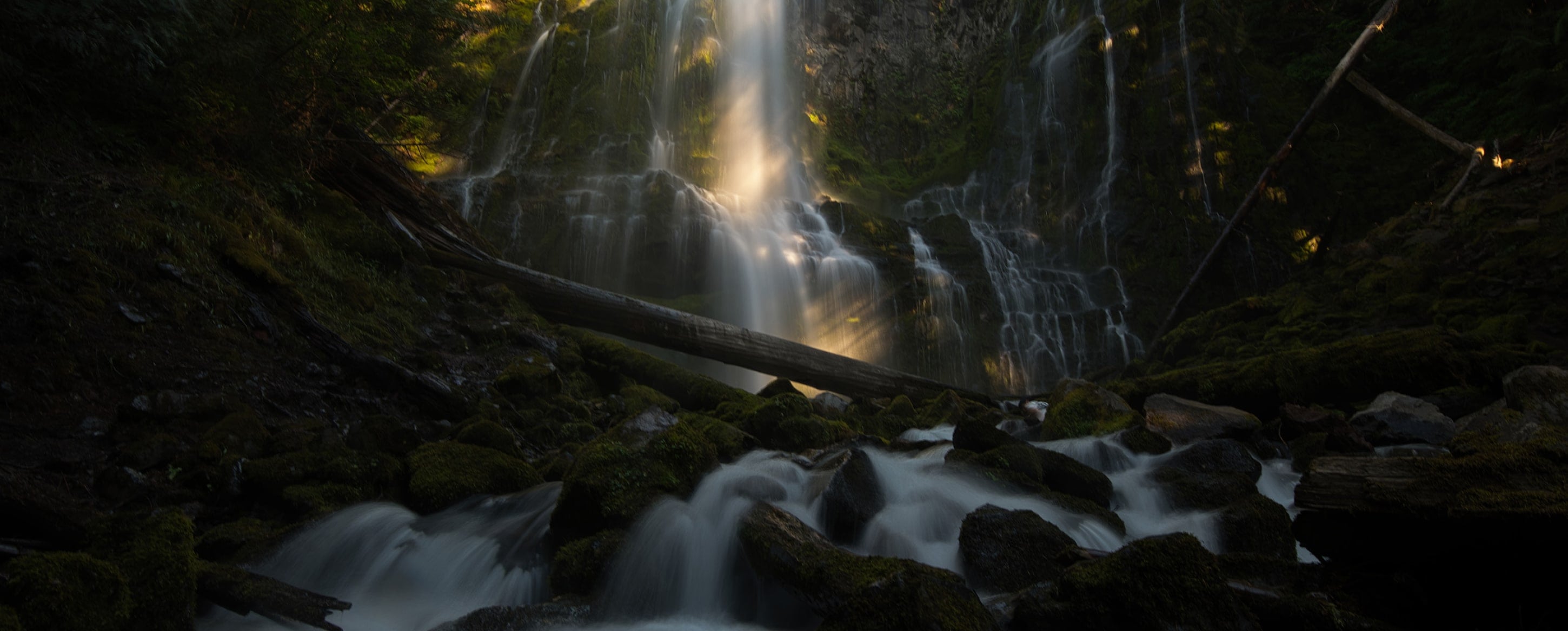 Buy Luminar | Skylum(29)