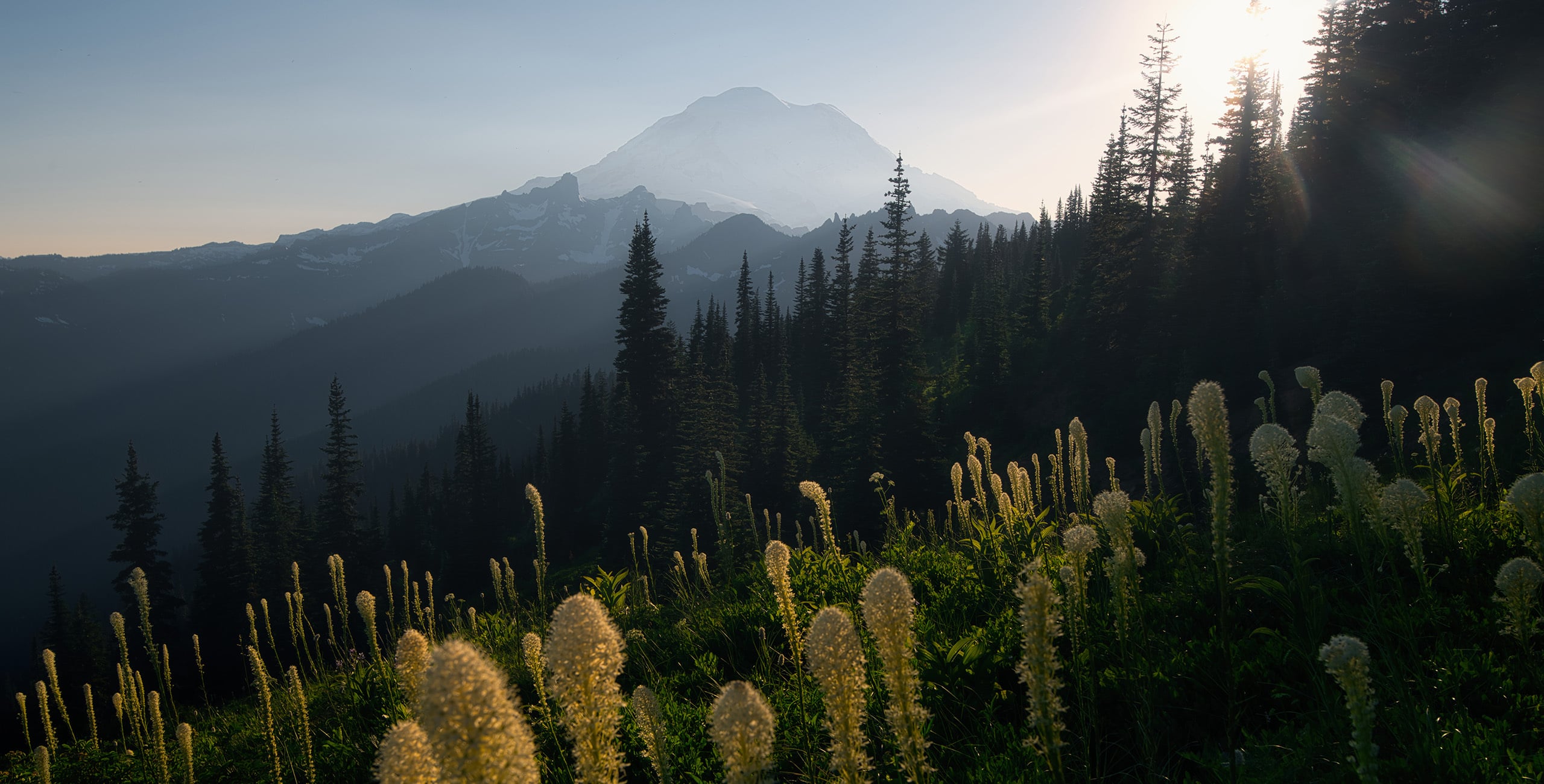 Buy Luminar | Skylum(28)