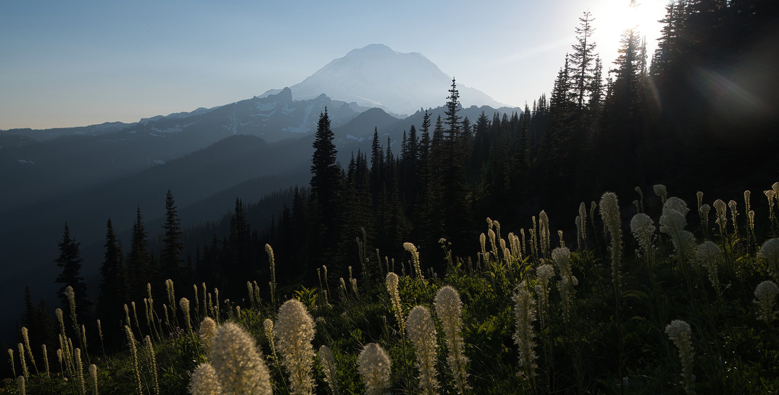 Buy Luminar | Skylum(27)