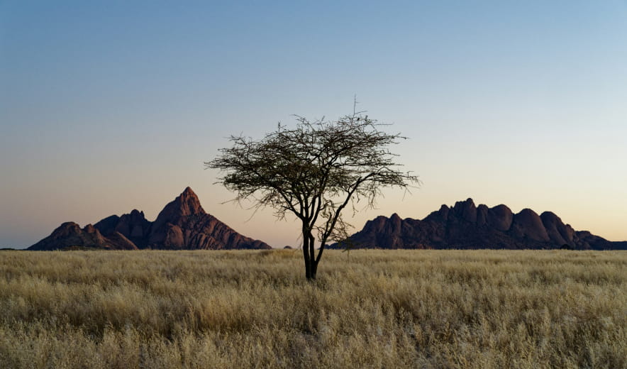 Quick & Easy Masking Images with AI - Get Perfect Results | Skylum(179)