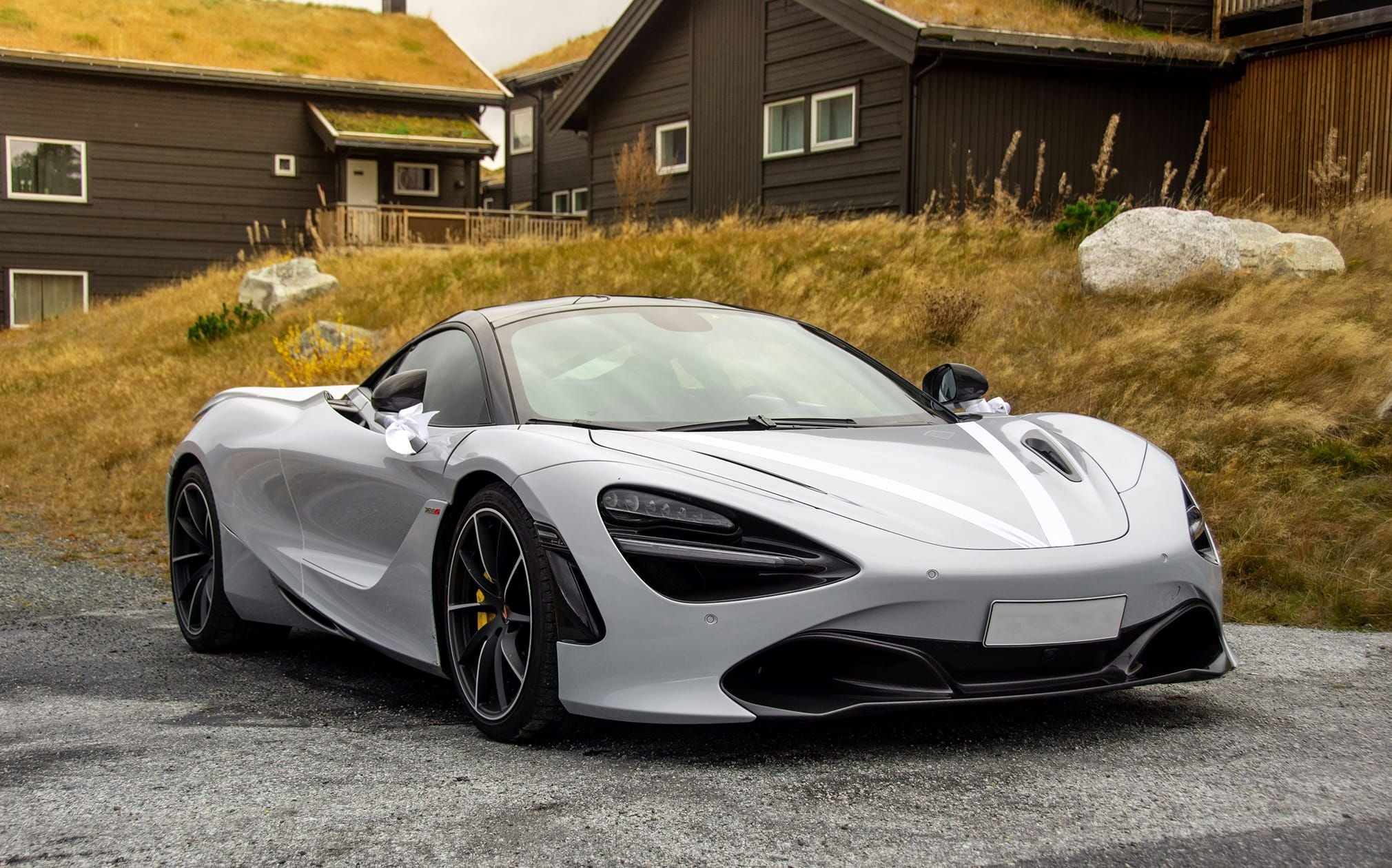 AI-powered Background Removal for any object