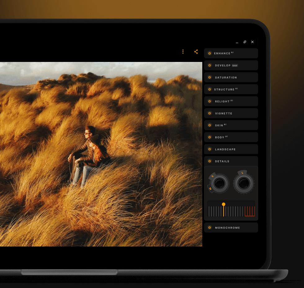Chromebook用 写真編集ツール：Luminar画像編集アプリ(15)
