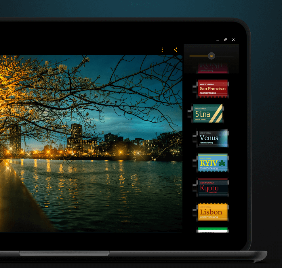 Chromebook用 写真編集ツール：Luminar画像編集アプリ(8)