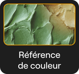 Transfert de Couleurs : Transfert du Style d'une Image par l'IA dans Luminar Neo(15)