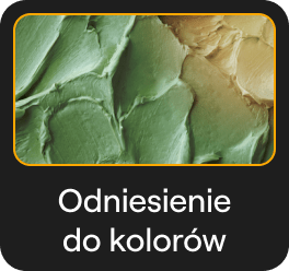 Transfer kolorów: Transfer stylu obrazu AI w Luminar Neo(15)
