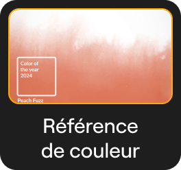 Transfert de Couleurs : Transfert du Style d'une Image par l'IA dans Luminar Neo(14)