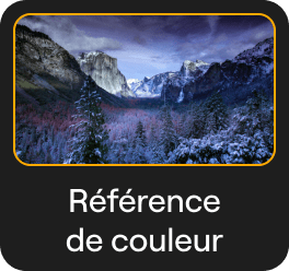 Transfert de Couleurs : Transfert du Style d'une Image par l'IA dans Luminar Neo(18)