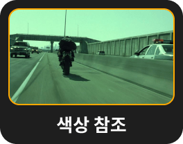 색상 변환: Luminar Neo의 AI 이미지 스타일 변환(22)