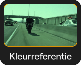 Kleuroverdracht: AI Afbeeldingsstijl Overdracht in Luminar Neo(22)