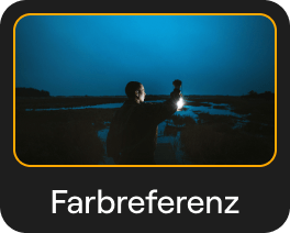 Farbübertragung: AI-Bildstilübertragung in Luminar Neo(26)