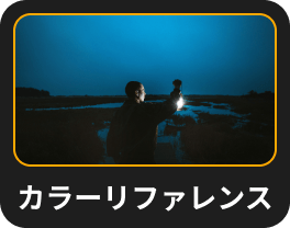 カラー移行：Luminar NeoのAI画像スタイルの移行(26)