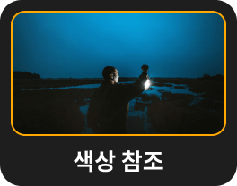 색상 변환: Luminar Neo의 AI 이미지 스타일 변환(26)
