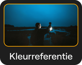 Kleuroverdracht: AI Afbeeldingsstijl Overdracht in Luminar Neo(26)