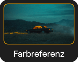 Farbübertragung: AI-Bildstilübertragung in Luminar Neo(24)
