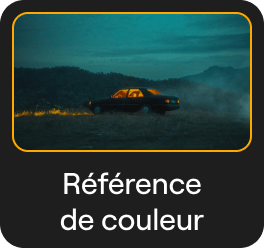 Transfert de Couleurs : Transfert du Style d'une Image par l'IA dans Luminar Neo(24)