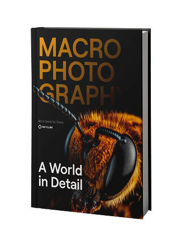 Calendrier de l'Avent Luminar : Cadeaux créatifs exclusifs(5)