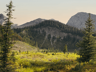 Ecosistema Luminar: accede a Luminar desde cualquier dispositivo(7)