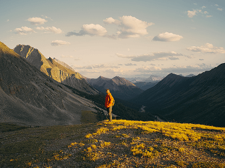 Ecosistema Luminar: accede a Luminar desde cualquier dispositivo(11)