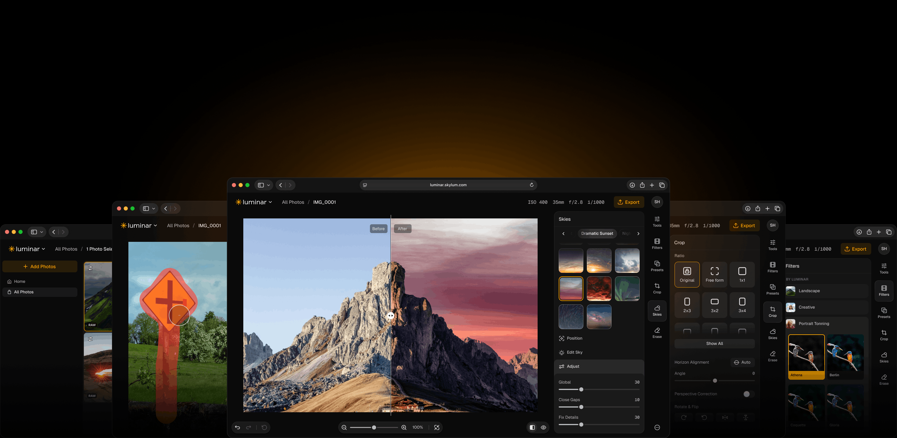 Luminar Web Editor