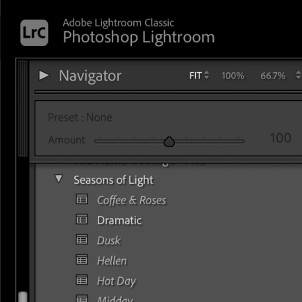 Free Lightroom Presets: Get it Right now (3)