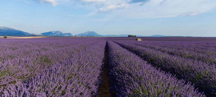 フランスの旅 キット by Skylumチーム(16)
