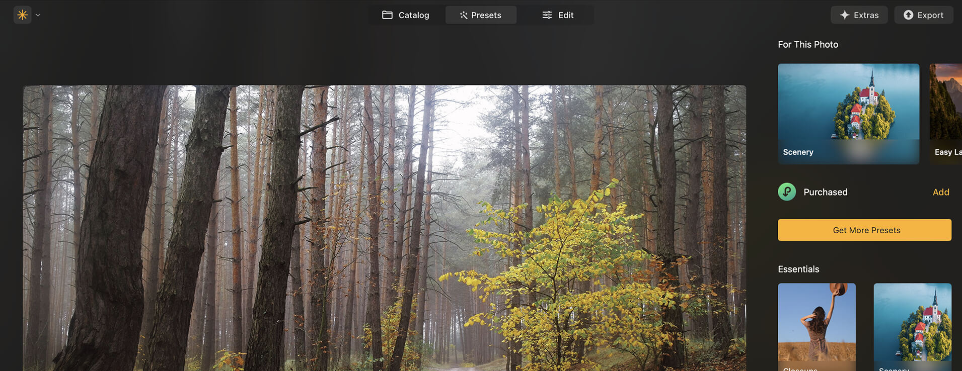 Luminar Neo Lightroom Plugin: Expand your Lightroom experience(382)
