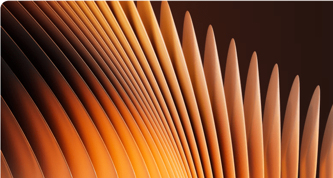 Luminar Neo: El Regalo Perfecto para Cualquier Celebración(4)
