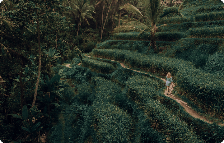 최고의 가성비 팩 – Depositphotos + Luminar Neo 번들(46)