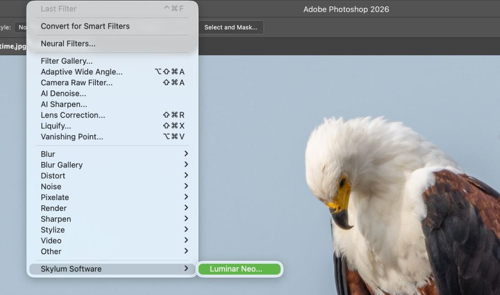 Luminar Neo vs Adobe Photoshop: Alternative for Photo Editors(12)