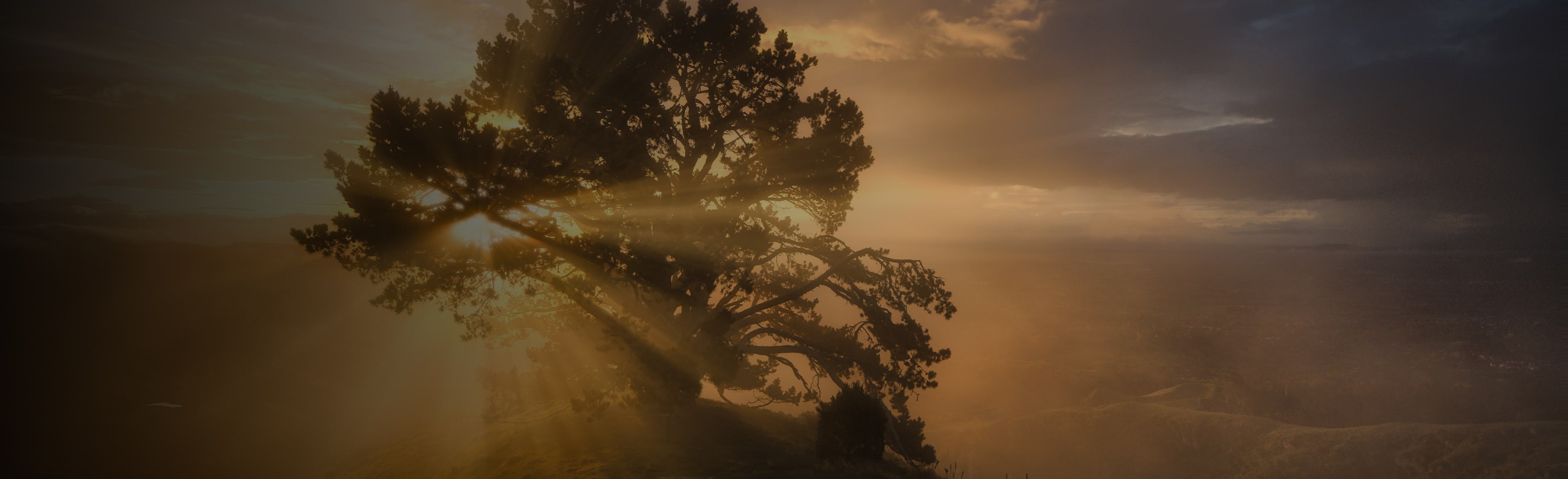 X Membership - Subscribe And Get Exclusive Assets For Photo Editing(360)