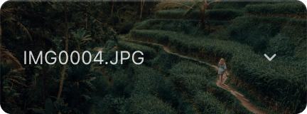 Color Transfer: AI Image Style Transfer in Luminar Neo(8)