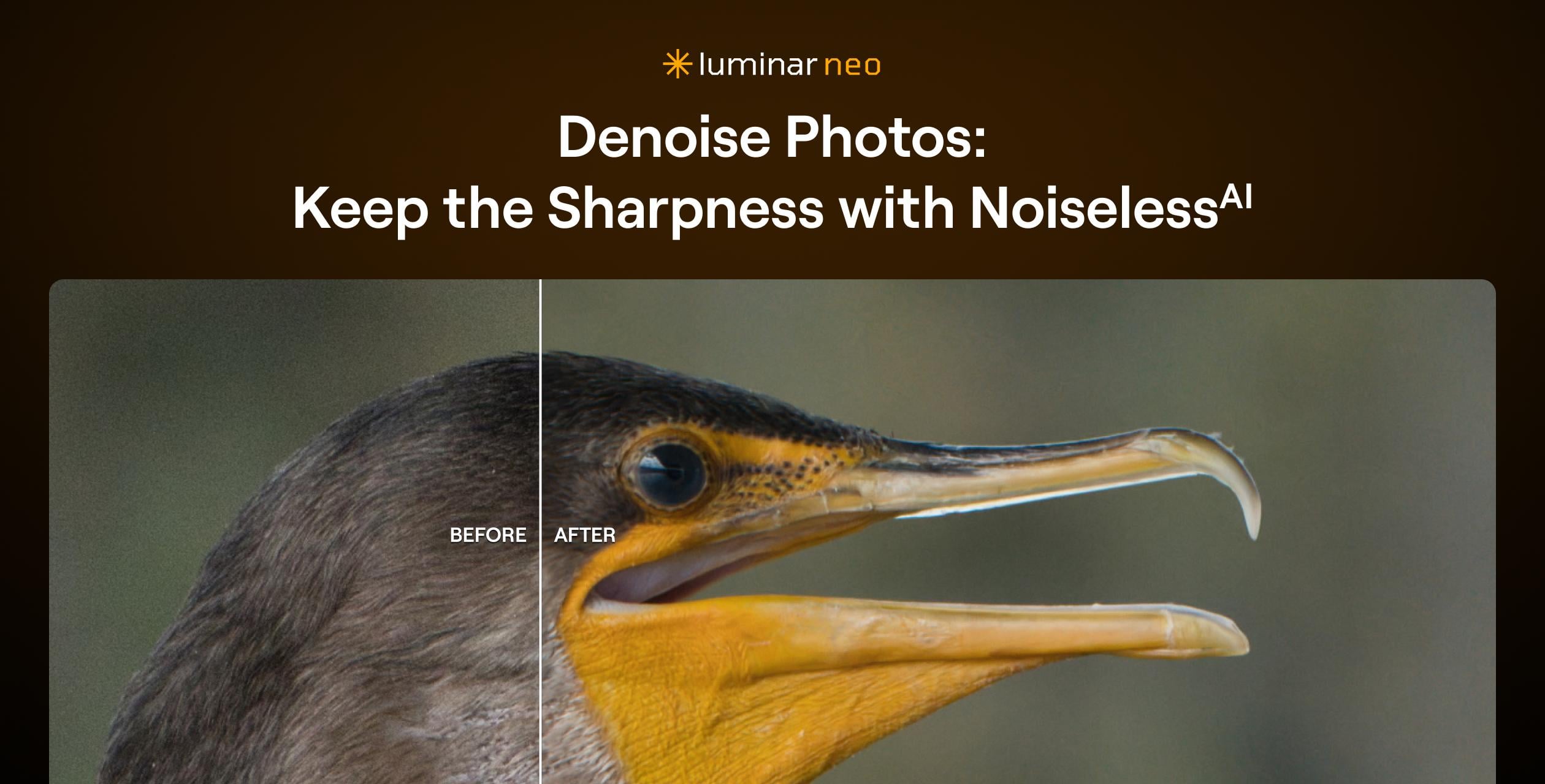 AI Image Denoiser: Remove Grain from Photo | Skylum