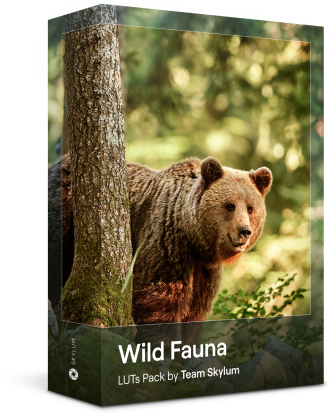 Haustierfotografie-Presets: Hilf Tieren, während du in Luminar Neo bearbeitest!(3)