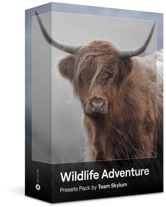 Haustierfotografie-Presets: Hilf Tieren, während du in Luminar Neo bearbeitest!(5)