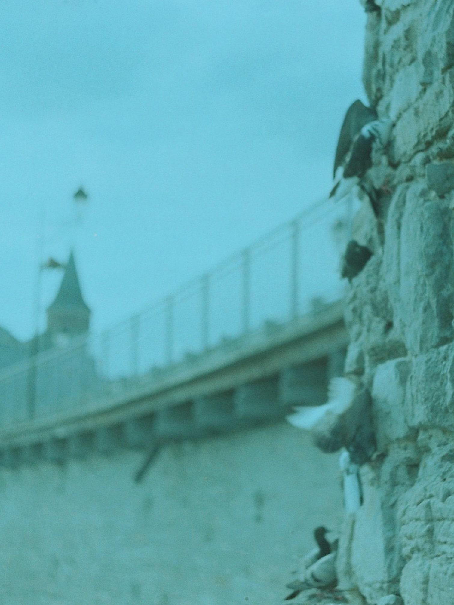 Moments Worth Capturing