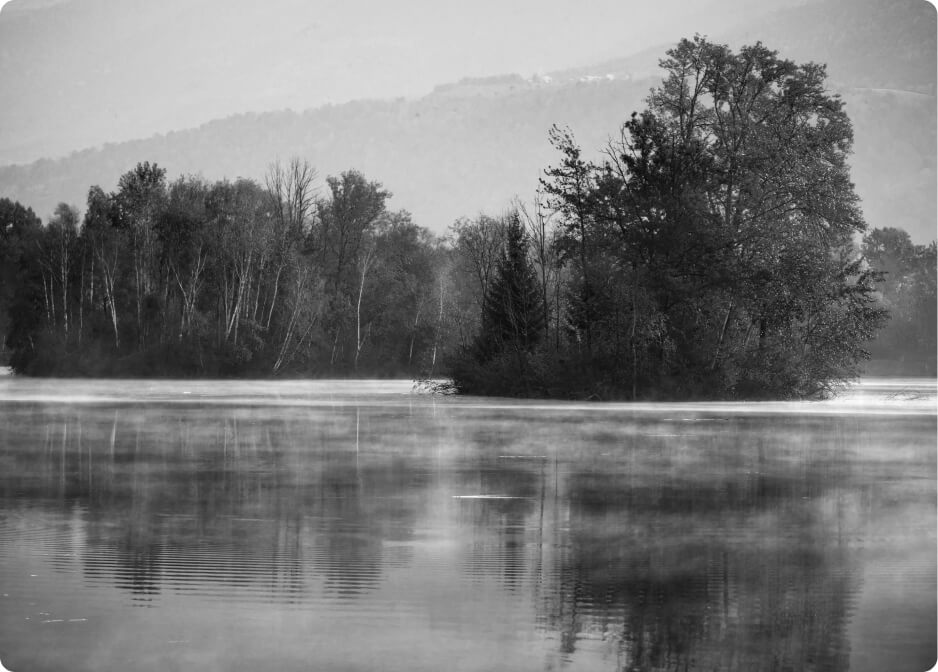 Unlock pro photography courses with 90% Off(32)