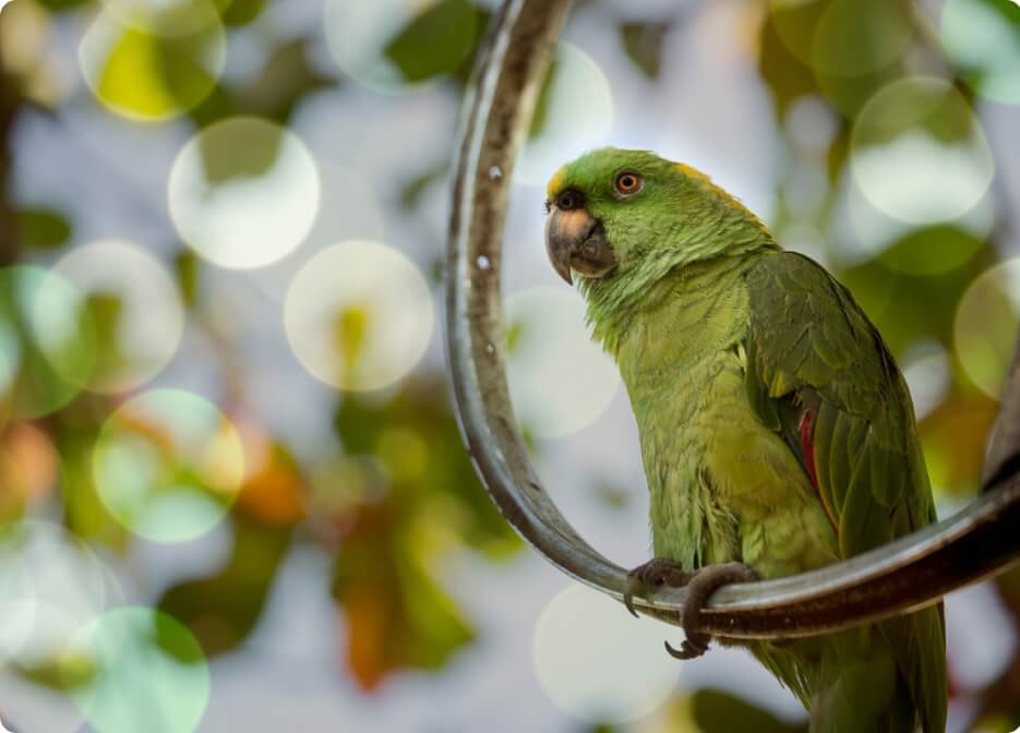 Unlock pro photography courses with 90% Off(26)