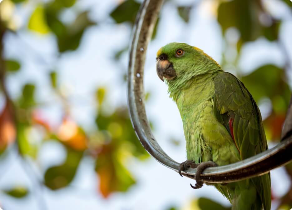 Unlock pro photography courses with 90% Off(25)