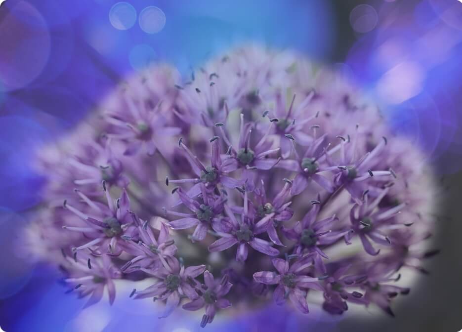 Unlock pro photography courses with 90% Off(28)