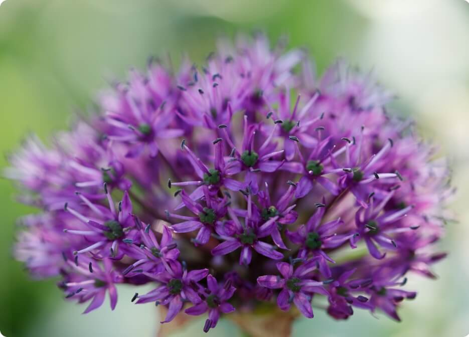 Unlock pro photography courses with 90% Off(27)