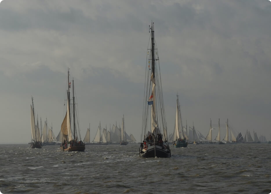 Unlock pro photography courses with 90% Off(23)