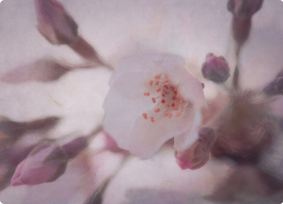 Unlock pro photography courses with 90% Off(18)