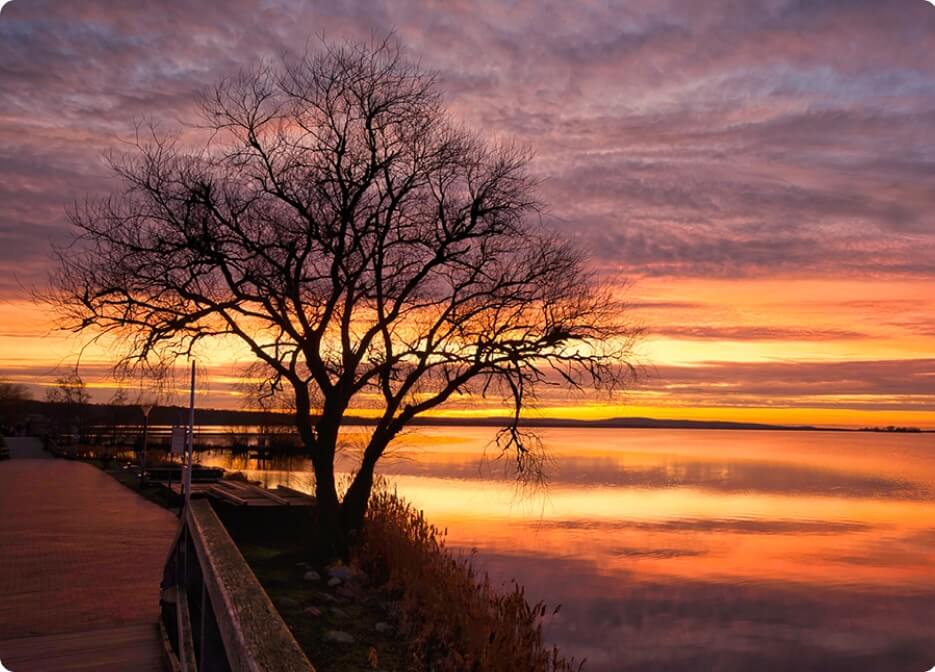 Unlock pro photography courses with 90% Off(34)