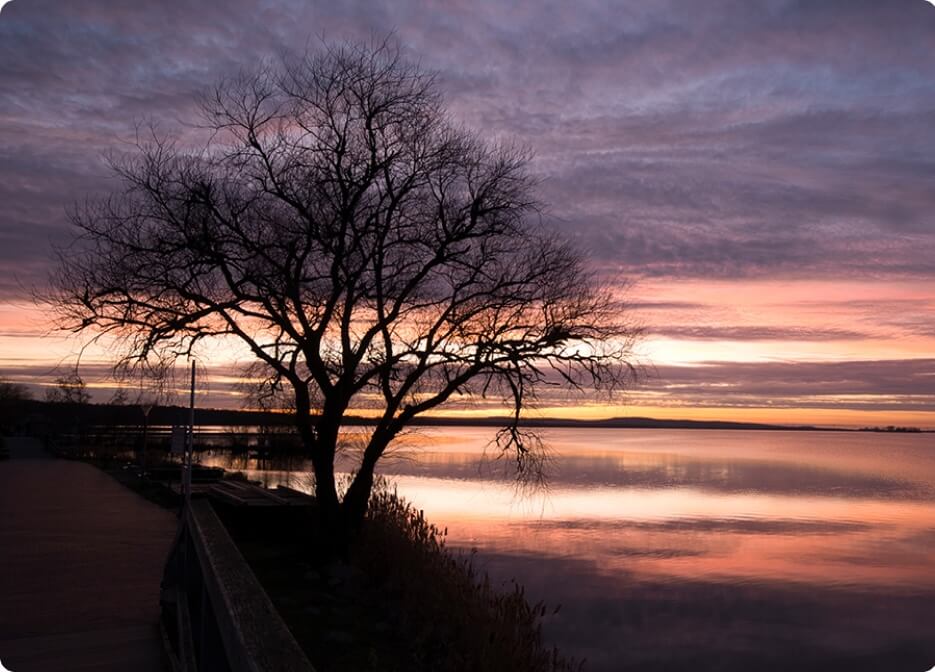 Unlock pro photography courses with 90% Off(33)